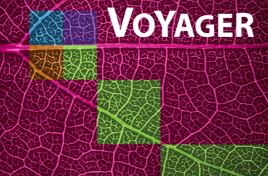 Voyager
